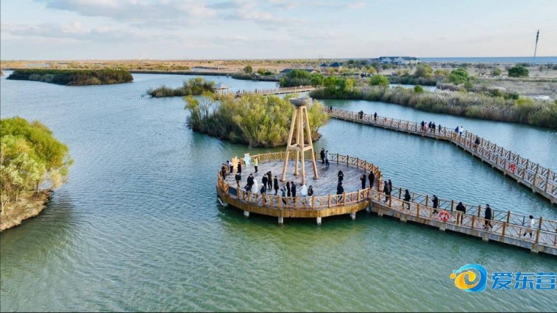 过去单项赛 过去单项赛