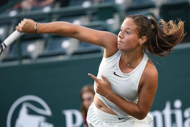 加哥球迷的 加哥球迷的