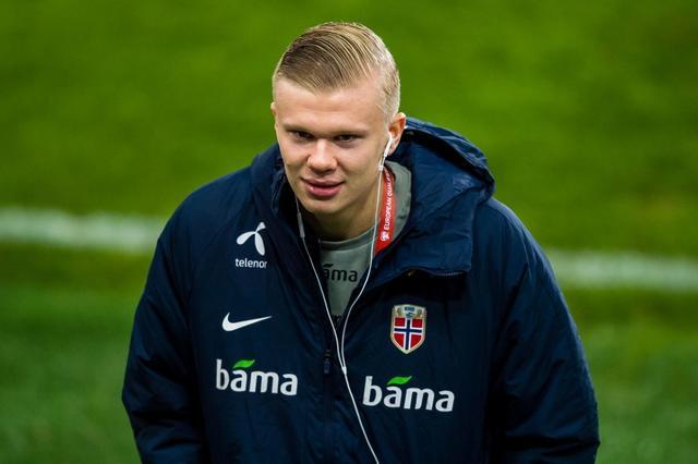 绿色怪物 绿色怪物